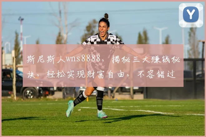 斯尼斯人wns8888，揭秘三大赚钱秘诀，轻松实现财富自由，不容错过