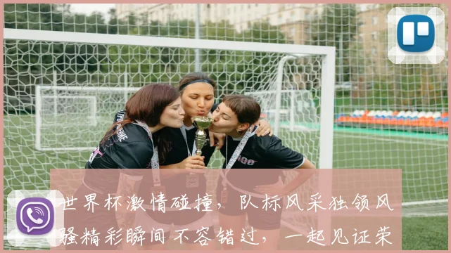 世界杯激情碰撞，队标风采独领风骚精彩瞬间不容错过，一起见证荣耀时刻