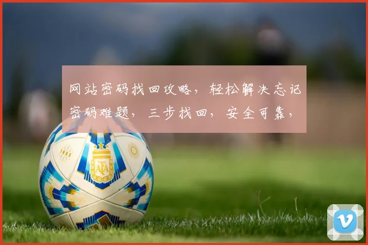 网站密码找回攻略，轻松解决忘记密码难题，三步找回，安全可靠，快速上手