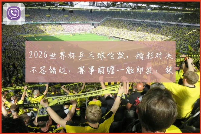 2026世界杯乒乓球伦敦，精彩对决不容错过，赛事前瞻一触即发，锁定焦点