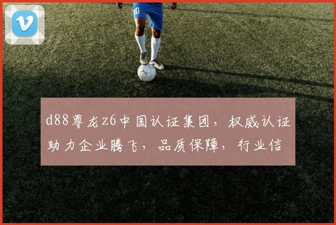d88尊龙z6中国认证集团，权威认证助力企业腾飞，品质保障，行业信赖首选