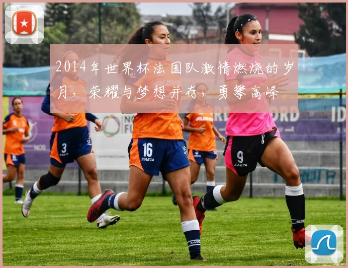 2014年世界杯法国队激情燃烧的岁月，荣耀与梦想并存，勇攀高峰